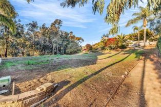 Single Family Residence, 3537 Dove Hollow rd, Encinitas, CA 92024 - 50