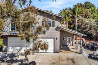 Single Family Residence, 3537 Dove Hollow rd, Encinitas, CA 92024 - 52