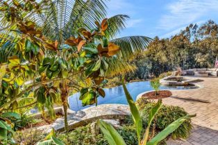 Single Family Residence, 3537 Dove Hollow rd, Encinitas, CA 92024 - 6