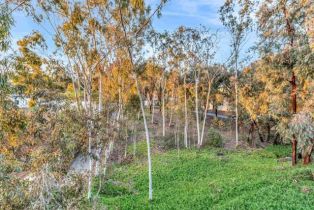 Single Family Residence, 3537 Dove Hollow rd, Encinitas, CA 92024 - 64