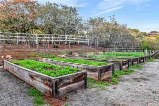 Single Family Residence, 3537 Dove Hollow rd, Encinitas, CA 92024 - 66