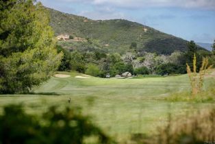 Single Family Residence, 14215 Augusta dr, Valley Center, CA 92082 - 31