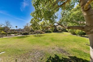 Single Family Residence, 1164 Quail Gardens ct, Encinitas, CA 92024 - 67