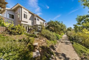Single Family Residence, 1164 Quail Gardens ct, Encinitas, CA 92024 - 73
