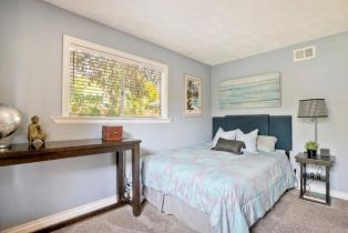 Single Family Residence, 790 Avocado ln, Carlsbad, CA 92008 - 41