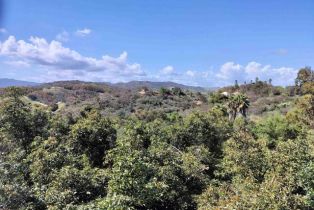 Single Family Residence, 1151 De Luz rd, Fallbrook, CA 92028 - 27