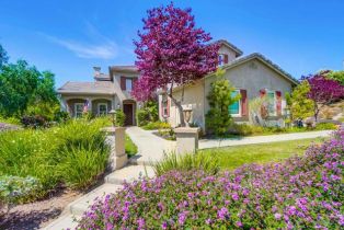 Single Family Residence, 1681 Loch Ness dr, Fallbrook, CA 92028 - 2