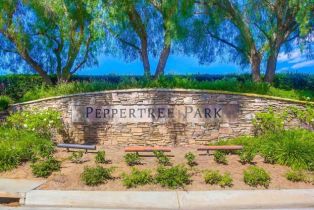 Single Family Residence, 1681 Loch Ness dr, Fallbrook, CA 92028 - 70