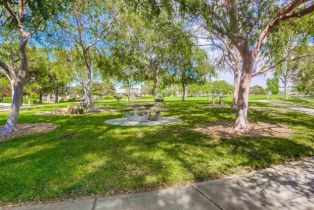 Single Family Residence, 1681 Loch Ness dr, Fallbrook, CA 92028 - 73