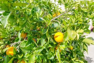 , 1120 Mission rd, Fallbrook, CA 92028 - 11