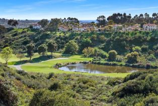 Single Family Residence, 7189 AVIARA drive, Carlsbad, CA 92011 - 30