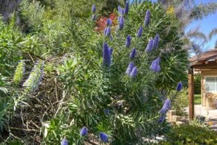 Single Family Residence, 2927 Rancho Cortes, Carlsbad, CA 92009 - 22