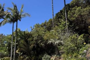 Single Family Residence, 1248 Avocet ct, Cardiff By The Sea, CA 92007 - 34