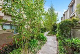 Condominium, 3330 Caminito Eastbluff, La Jolla, CA 92037 - 43