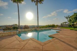 Single Family Residence, 1664 Aryana dr, Encinitas, CA 92024 - 38