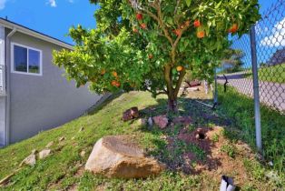 Single Family Residence, 4710 Sleeping Indian rd, Fallbrook, CA 92028 - 51