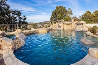 Single Family Residence, 3506 Avenida Pantera, Carlsbad, CA 92009 - 28