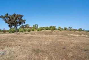 , 6458 El Camino Del Norte, Rancho Santa Fe, CA 92067 - 19