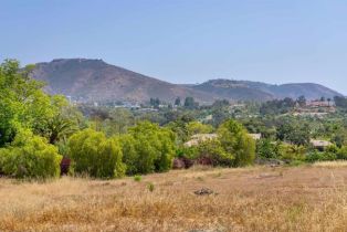 , 6458 El Camino Del Norte, Rancho Santa Fe, CA 92067 - 22