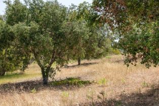 , 6458 El Camino Del Norte, Rancho Santa Fe, CA 92067 - 28