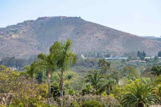 , 6458 El Camino Del Norte, Rancho Santa Fe, CA 92067 - 34