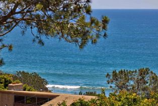 Single Family Residence, 271 Ocean View ave, Del Mar, CA 92014 - 68