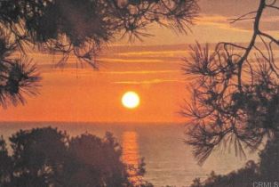 Single Family Residence, 271 Ocean View ave, Del Mar, CA 92014 - 72