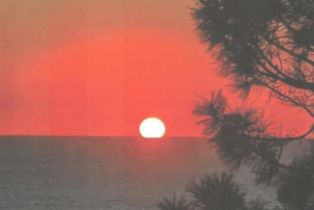 Single Family Residence, 271 Ocean View ave, Del Mar, CA 92014 - 73