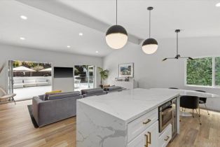 Single Family Residence, 725 Cathy ln, Cardiff By The Sea, CA 92007 - 8