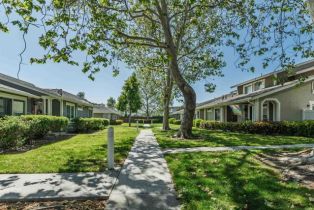 Condominium, 801 Yankee Point way, Oceanside, CA 92058 - 17