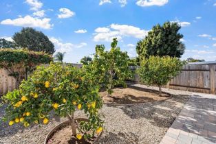 Single Family Residence, 3185 Monroe st, Carlsbad, CA 92008 - 14