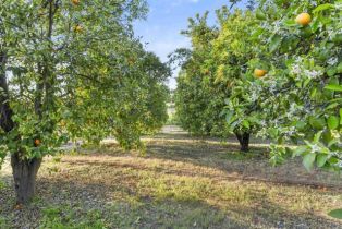 Single Family Residence, 13371 Sage Meadow ln, Valley Center, CA 92082 - 38
