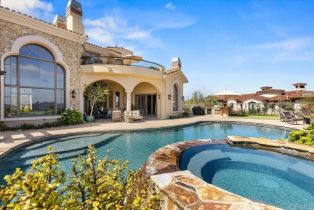 Single Family Residence, 18320 VIA AMBIENTE, Rancho Santa Fe, CA 92067 - 19