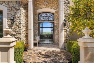 Single Family Residence, 18320 VIA AMBIENTE, Rancho Santa Fe, CA 92067 - 3