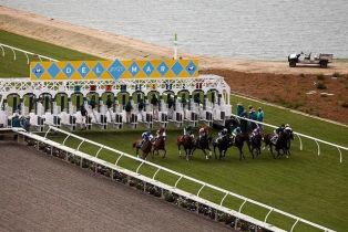 Single Family Residence, 3431 Caminito Santa Fe Downs, Del Mar, CA 92014 - 30