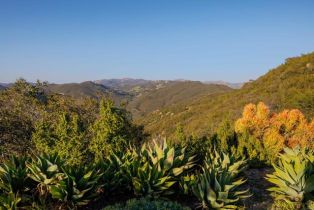 Single Family Residence, 3351 Red Mountain Heights drive, Fallbrook, CA 92028 - 46