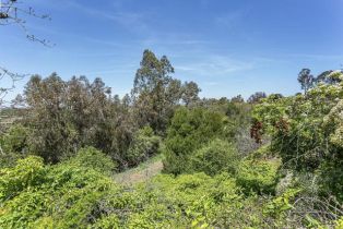Single Family Residence, 5458 Avenida Maravillas, Rancho Santa Fe, CA 92067 - 14