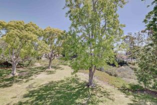 Condominium, 1982 Fairlee dr, Encinitas, CA 92024 - 19