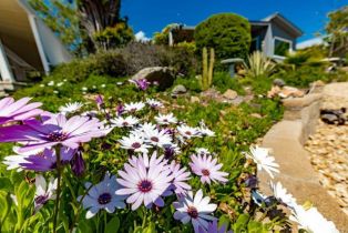 , 18218 Paradise Mountain rd, Valley Center, CA 92082 - 25