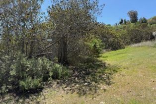 , 121 Avo dr, Fallbrook, CA 92028 - 10