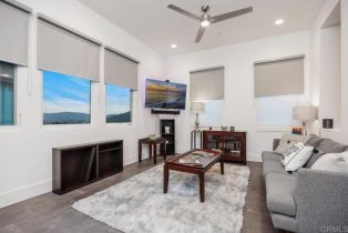 Single Family Residence, 3881 Rancho Summit dr, Encinitas, CA 92024 - 23