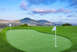 Single Family Residence, 3881 Rancho Summit dr, Encinitas, CA 92024 - 26