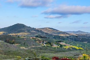 Single Family Residence, 3881 Rancho Summit dr, Encinitas, CA 92024 - 29