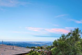 Single Family Residence, 3881 Rancho Summit dr, Encinitas, CA 92024 - 30