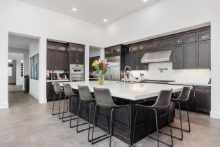 Single Family Residence, 3881 Rancho Summit dr, Encinitas, CA 92024 - 9