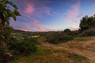 Single Family Residence, 2705 Plumeria dr, Carlsbad, CA 92009 - 42
