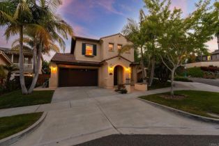Single Family Residence, 2705 Plumeria dr, Carlsbad, CA 92009 - 43