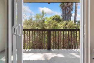 Condominium, 3527 Caminito Sierra, Carlsbad, CA 92009 - 41