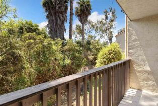 Condominium, 3527 Caminito Sierra, Carlsbad, CA 92009 - 42