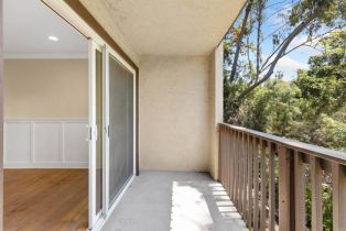 Condominium, 3527 Caminito Sierra, Carlsbad, CA 92009 - 43